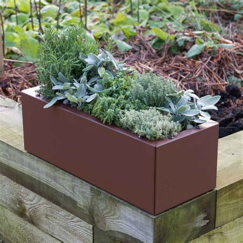 metal troughs for planting